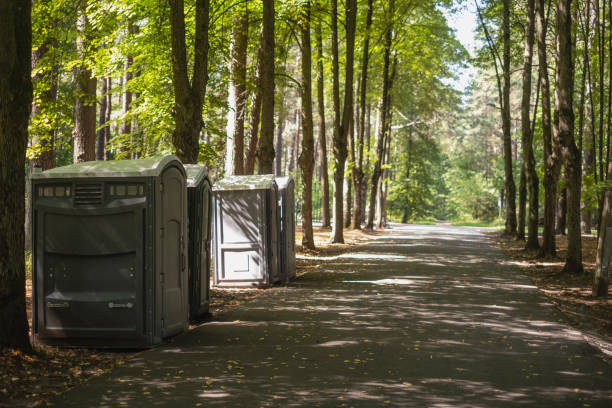 Portable Toilet Options We Offer in Level Plains, AL